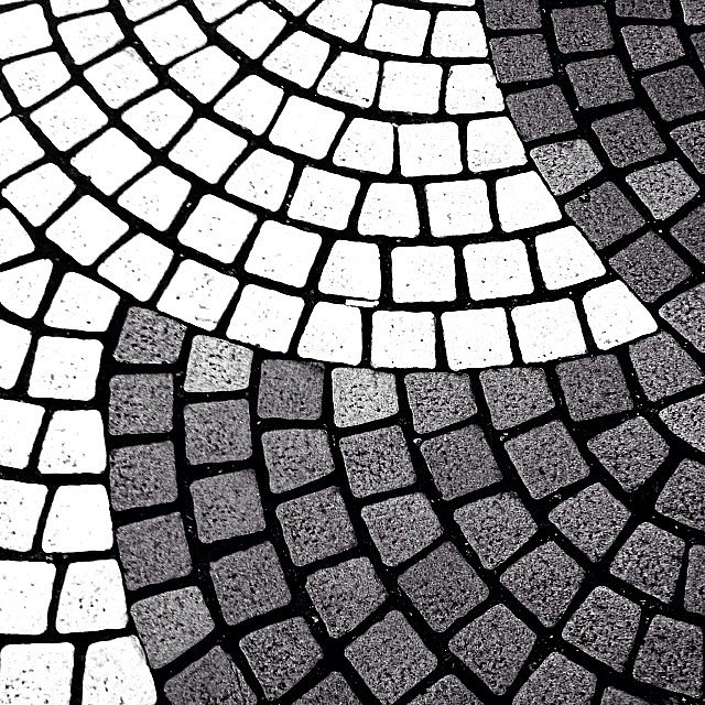 Shapes Shapes