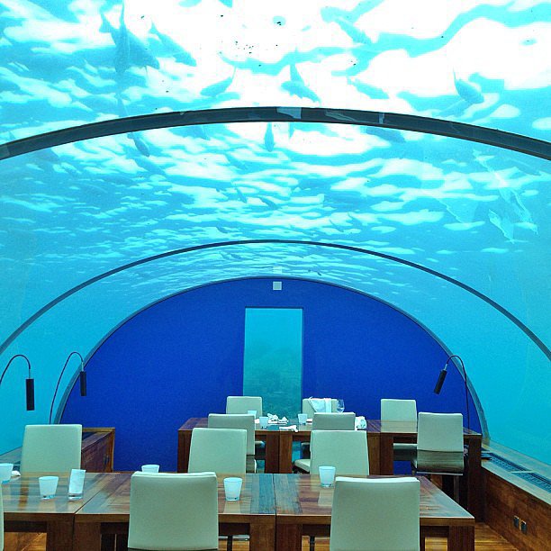 Eat in an Underwater Restaurant Eat in an Underwater Restaurant