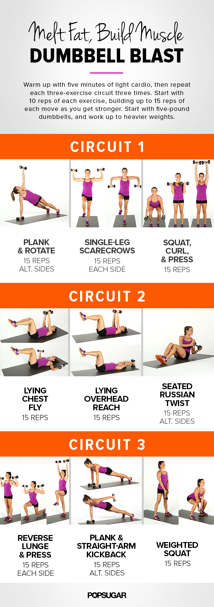 At Home Arm Workout Program