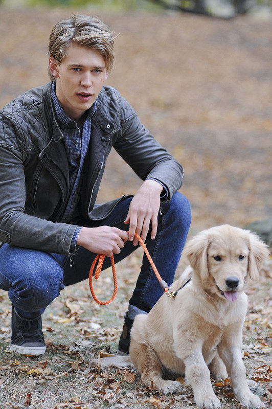 Man's best friend.
Man's best friend.