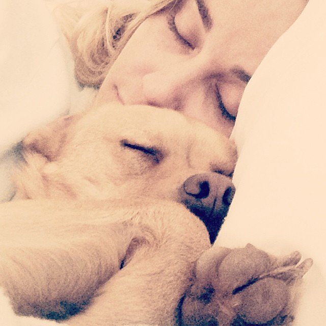 LC loves to snuggle with her pups.
Source: Instagram user laurenconrad
LC loves to snuggle with her pups.
Source: Instagram user laurenconrad