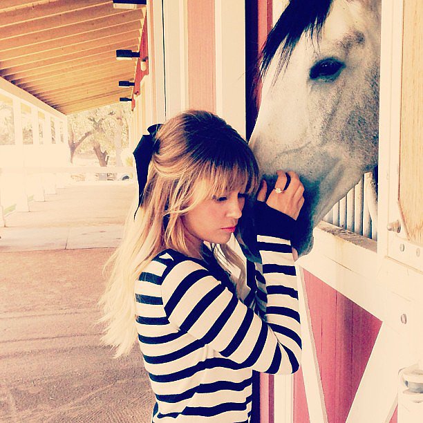 LC made a horse friend.
Source: Instagram user laurenconrad
LC made a horse friend.
Source: Instagram user laurenconrad