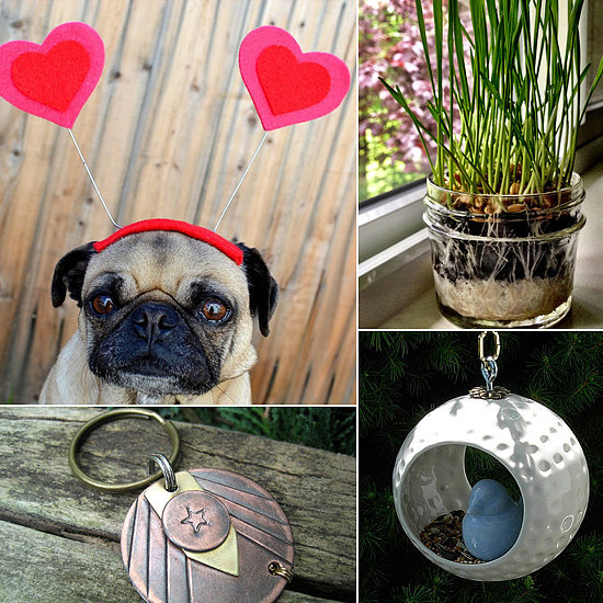 Show Your Animal Love This February Show Your Animal Love This February