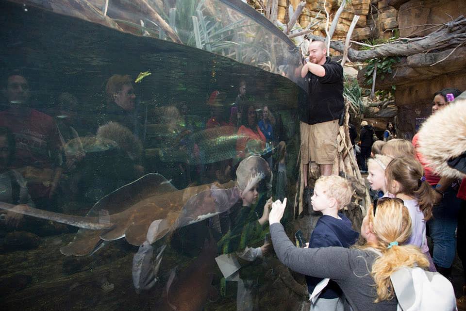National Aquarium — Baltimore National Aquarium — Baltimore