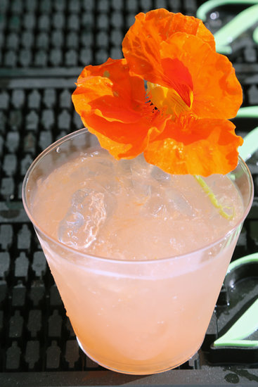 5 Tropical Cocktail Commandments 5 Tropical Cocktail Commandments