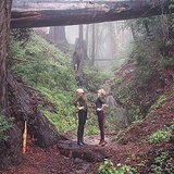 Tall Girls, Tall Trees: Taylor and Karlie Do Big Sur