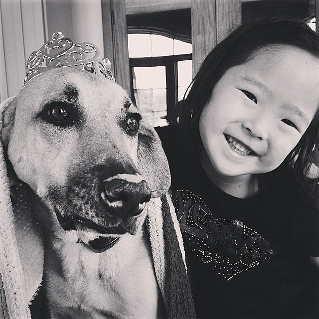 Naleigh Kelley helped get her pooch in the Oscars mood with a sparkly tiara.
Source: Instagram user joshbkelley
Naleigh Kelley helped get her pooch in the Oscars mood with a sparkly tiara.
Source: Instagram user joshbkelley