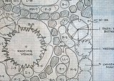 Xeriscape Gardens: How to Get a Beautiful Landscape With Less Water (7 photos) Xeriscape Gardens: How to Get a Beautiful Landscape With Less Water (7 photos)
