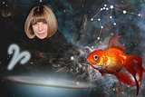 Astrology GIFs for the Week of March 10, 2014 Astrology GIFs for the Week of March 10, 2014