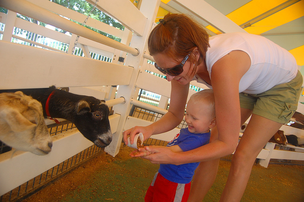 Farms and Petting Zoos Farms and Petting Zoos