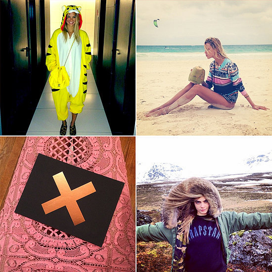 Take a Walk on the Wild Side With Your Favorite Style Stars Take a Walk on the Wild Side With Your Favorite Style Stars