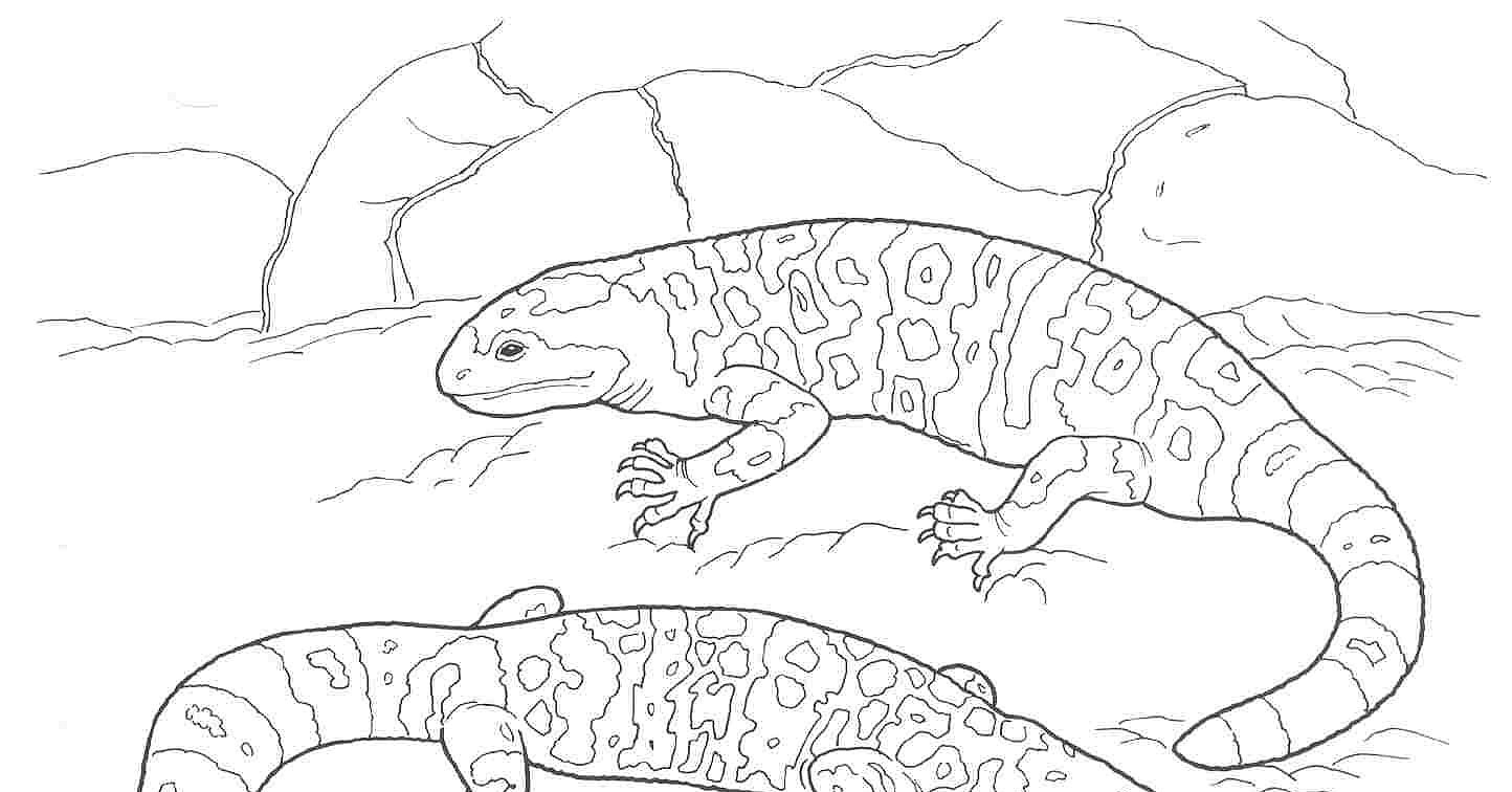Gila Monster Page Coloring Pages