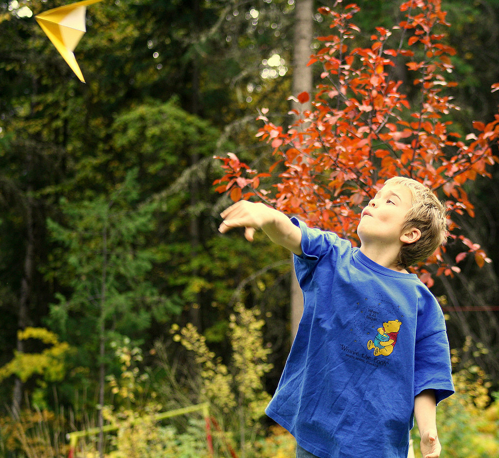 Soar to New Heights Soar to New Heights