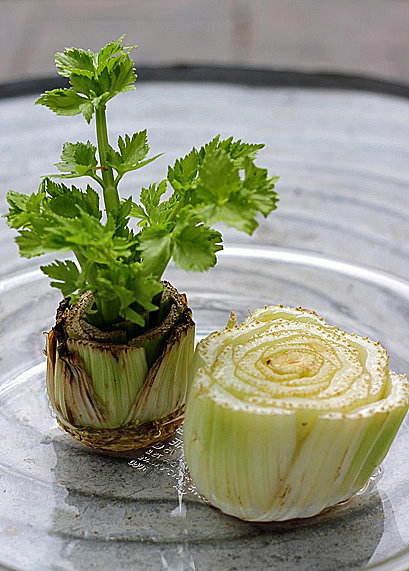 Grow Your Own Celery Grow Your Own Celery