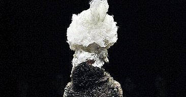 A Black Tomorrow For Today's Princesses at Comme Des Garçons A Black Tomorrow For Today's Princesses at Comme Des Garçons