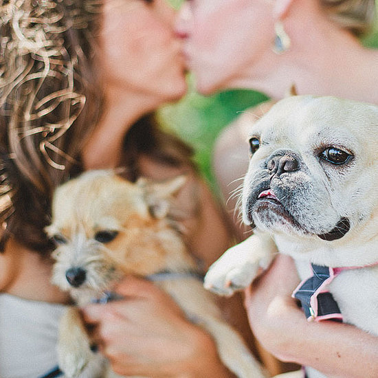 Gay Wedding Photos Gay Wedding Photos