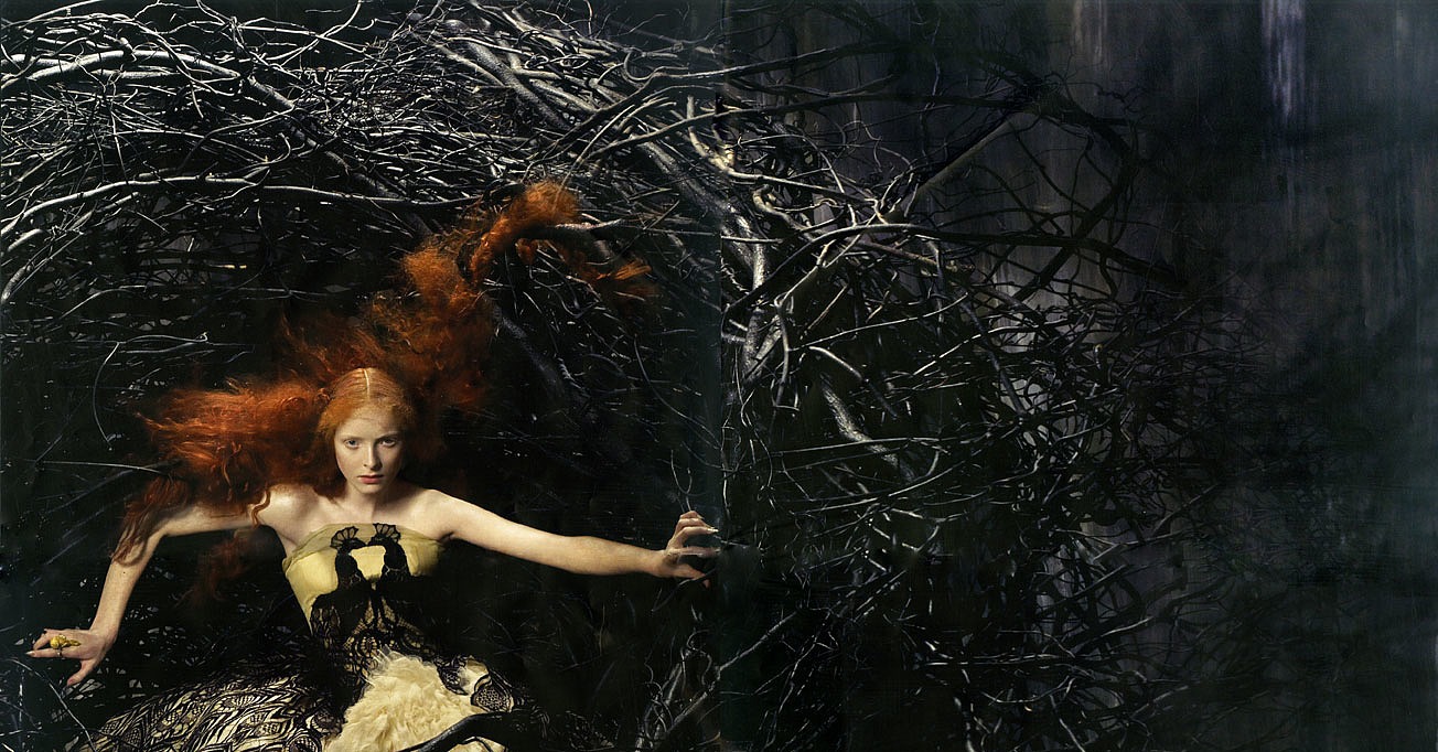 Alexander McQueen's Avian Alice Gibb for Fall 2008 Alexander McQueen's Avian Alice Gibb for Fall 2008