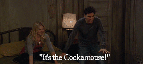 The Cockamouse The Cockamouse