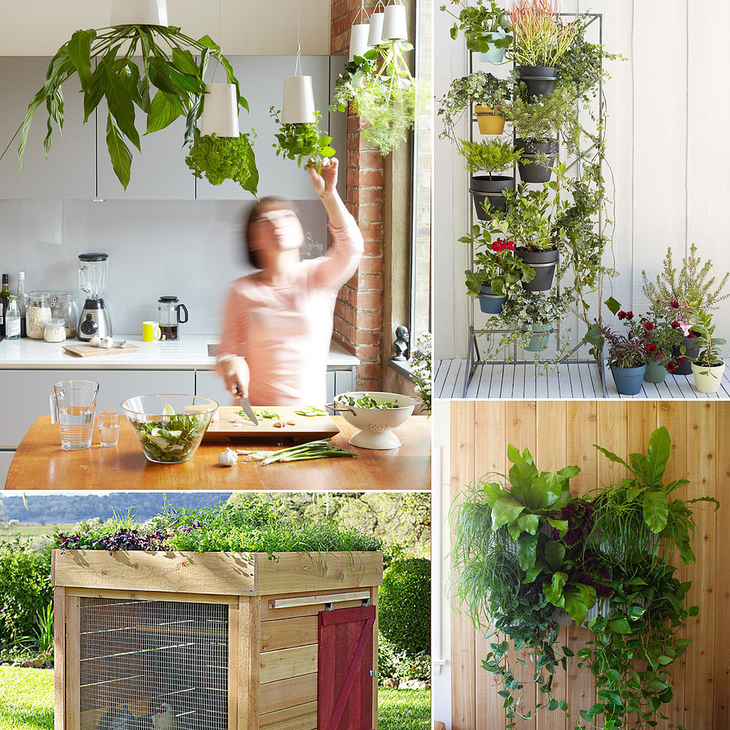 Herb Planters | POPSUGAR Home