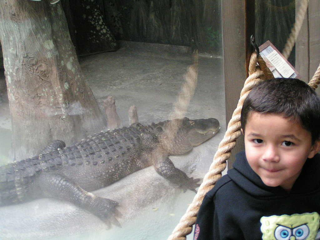 When Your Child Shows His Smarts When Your Child Shows His Smarts