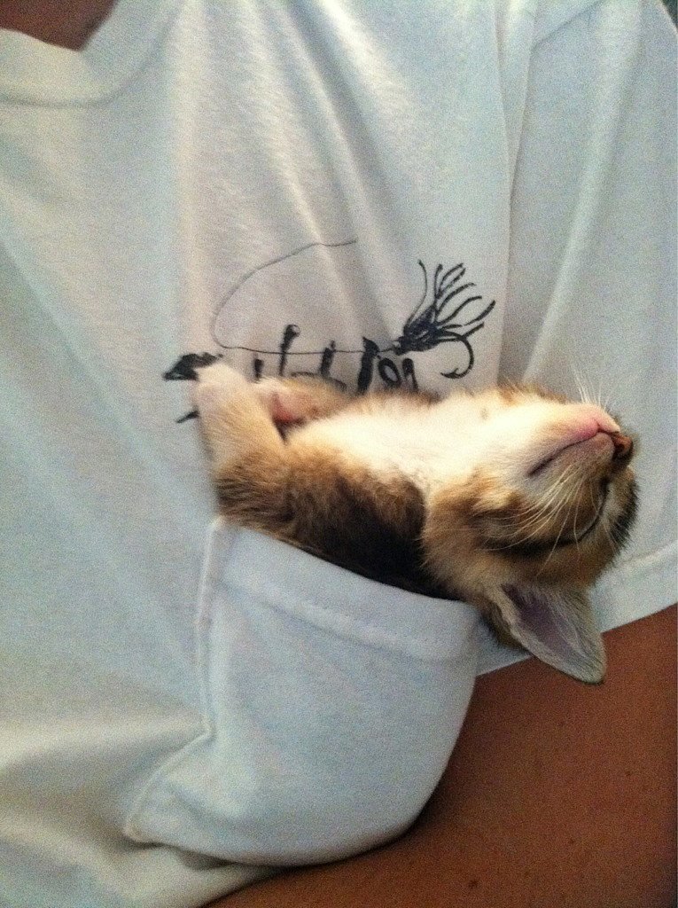 Pocket Pal Pocket Pal