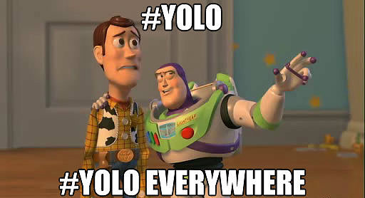 YOLO YOLO