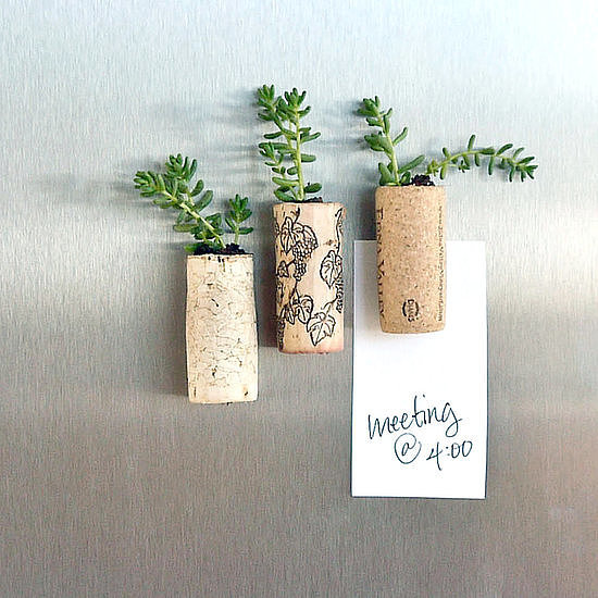 Cork Planter Magnets Cork Planter Magnets