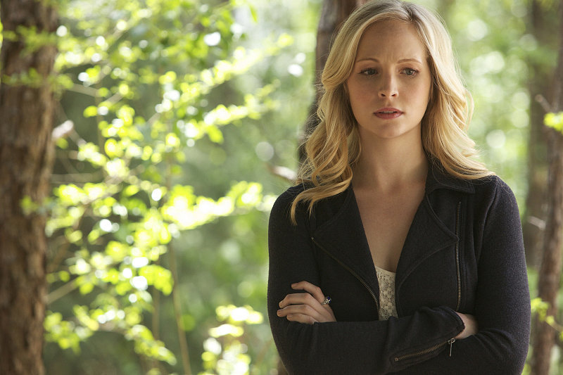The Vampire Diaries The Vampire Diaries