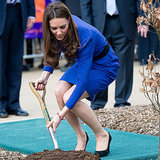 Kate and Will Have Pretty Much Planted an Entire Forest