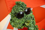 Kale Comes Out As Gay In Exclusive BuzzFeed Interview Kale Comes Out As Gay In Exclusive BuzzFeed Interview