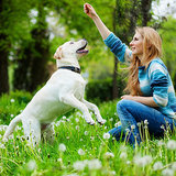 Essential Hand Signals For Dogs Essential Hand Signals For Dogs
