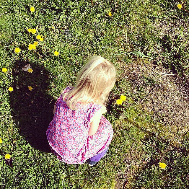 . . . And Easily Distracted . . . And Easily Distracted