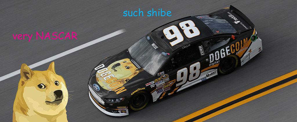 Much Draft: How the Internet Rallied to Bring Doge to NASCAR Much Draft: How the Internet Rallied to Bring Doge to NASCAR