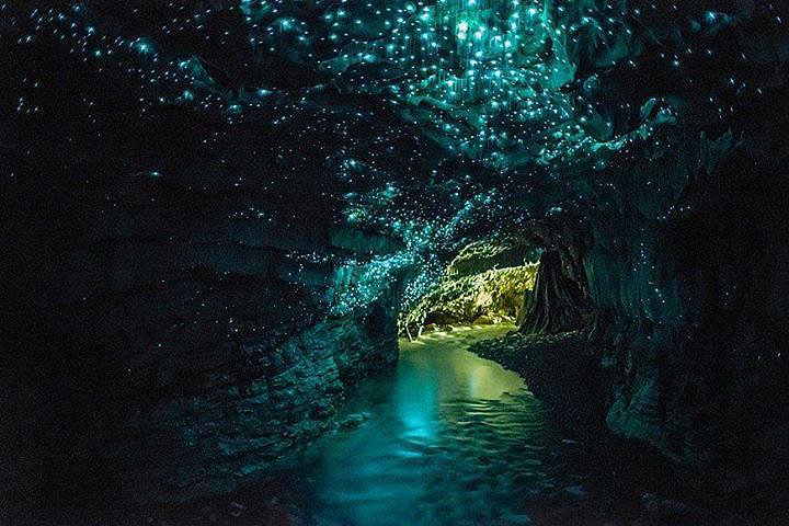 Glowworm Caves, New Zealand Glowworm Caves, New Zealand