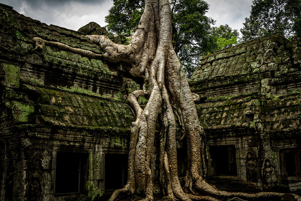 Angkor Wat, Cambodia Angkor Wat, Cambodia