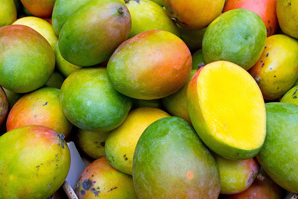 The Spring Fruit: Mangoes The Spring Fruit: Mangoes