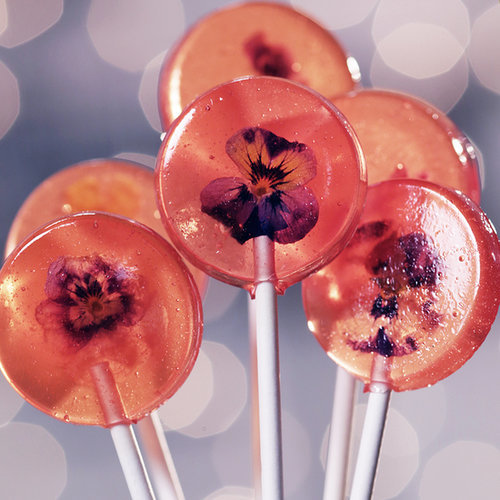 Edible Flower Lollipops Edible Flower Lollipops