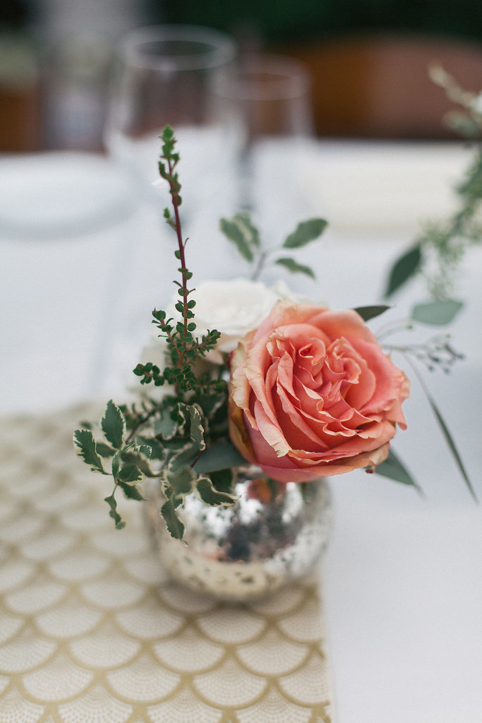 Photo by John Schnack Photography
Photo by John Schnack Photography
