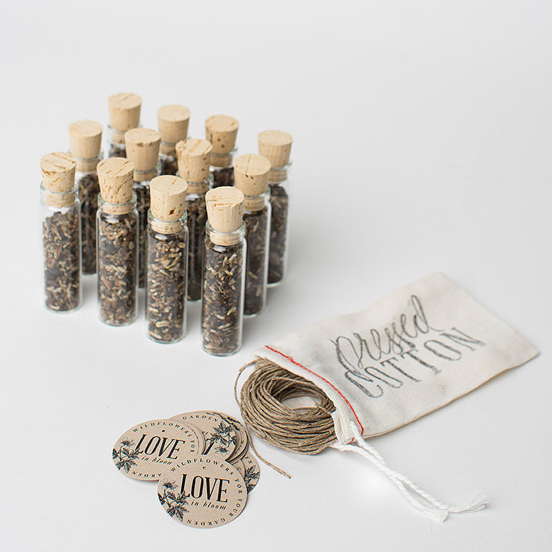 Wildflower Seeds Wildflower Seeds