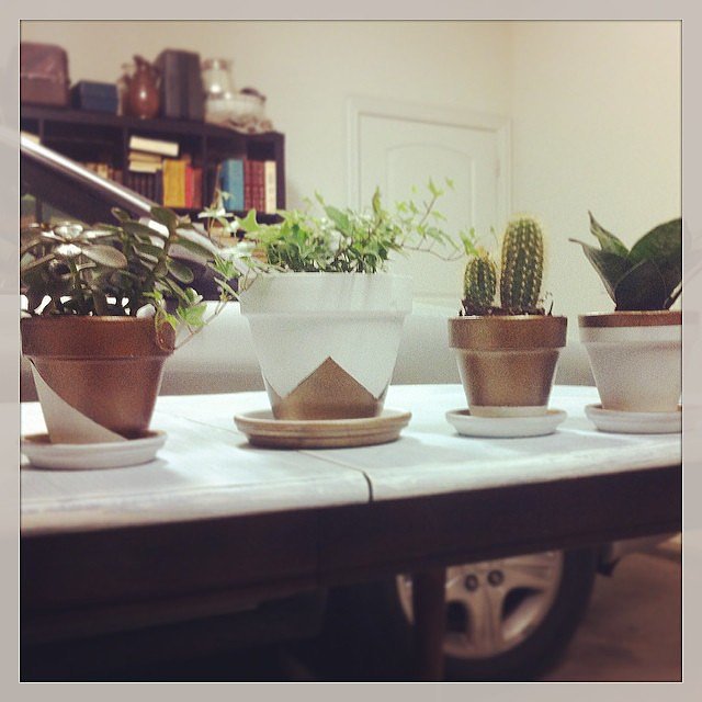 Modern Pots Modern Pots