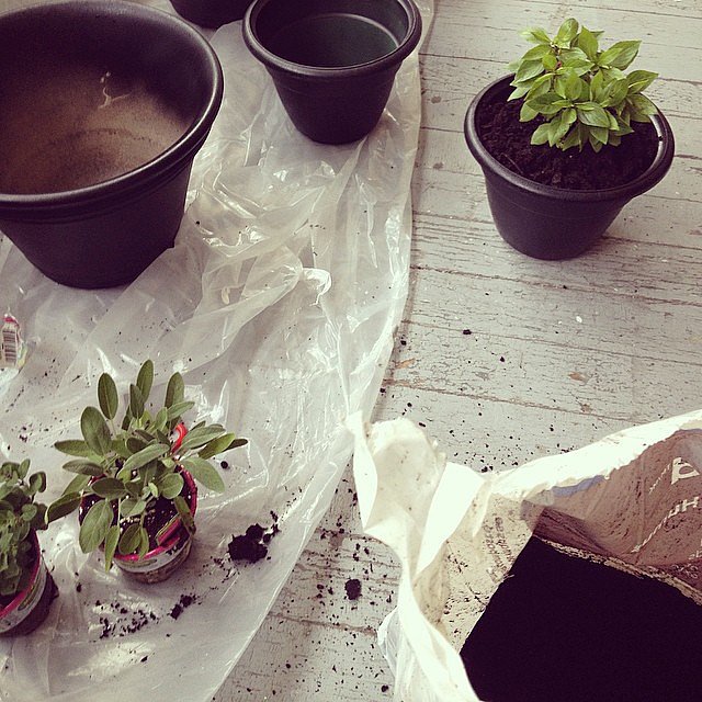 Fancy Plant Containers Fancy Plant Containers