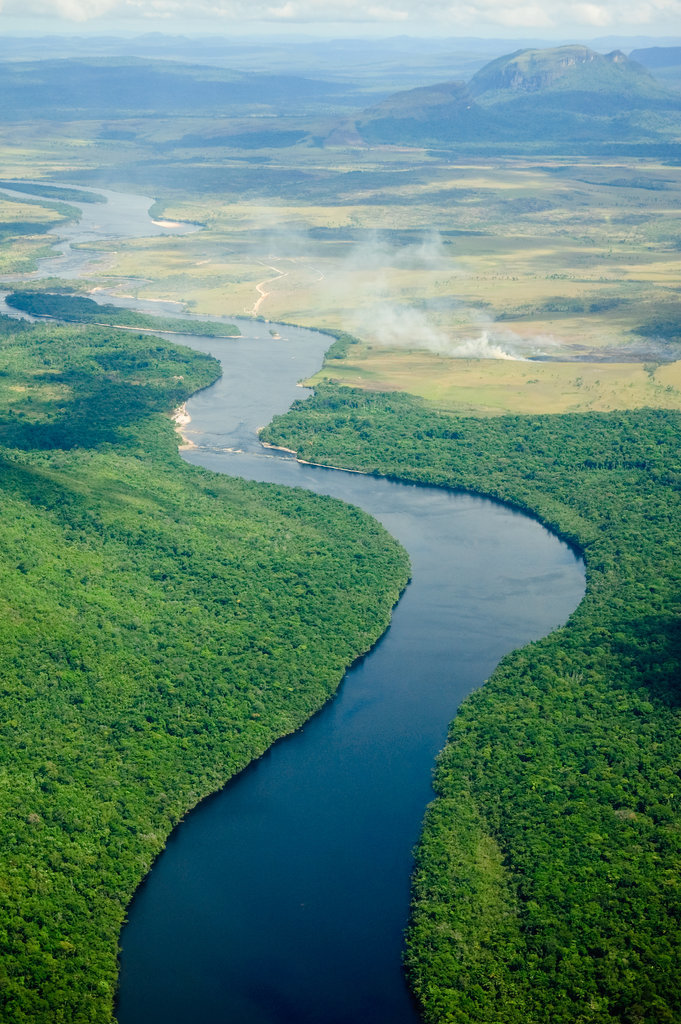 Cruise Down the Amazon River Cruise Down the Amazon River