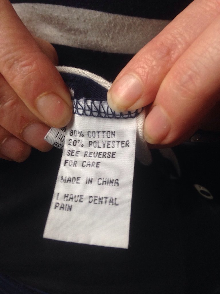 "Found this on my shirt"
Source: Reddit user cjnewzealand via Imgur
"Found this on my shirt"
Source: Reddit user cjnewzealand via Imgur