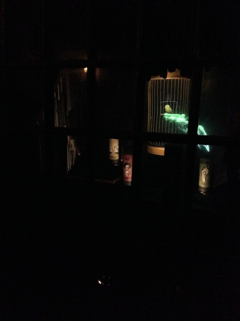 Knockturn Alley is especially creepy at night. Here's one of my first attempts at casting a spell. Hey, a little dark magic never hurt anyone . . .
Knockturn Alley is especially creepy at night. Here's one of my first attempts at casting a spell. Hey, a little dark magic never hurt anyone . . .