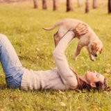 Funny Questions People Ask About Dogs Funny Questions People Ask About Dogs