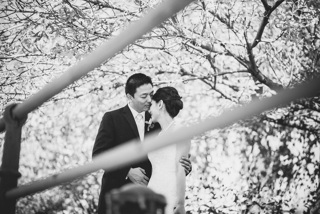 Photos by Bonnallie Brodeur Photographe
Photos by Bonnallie Brodeur Photographe