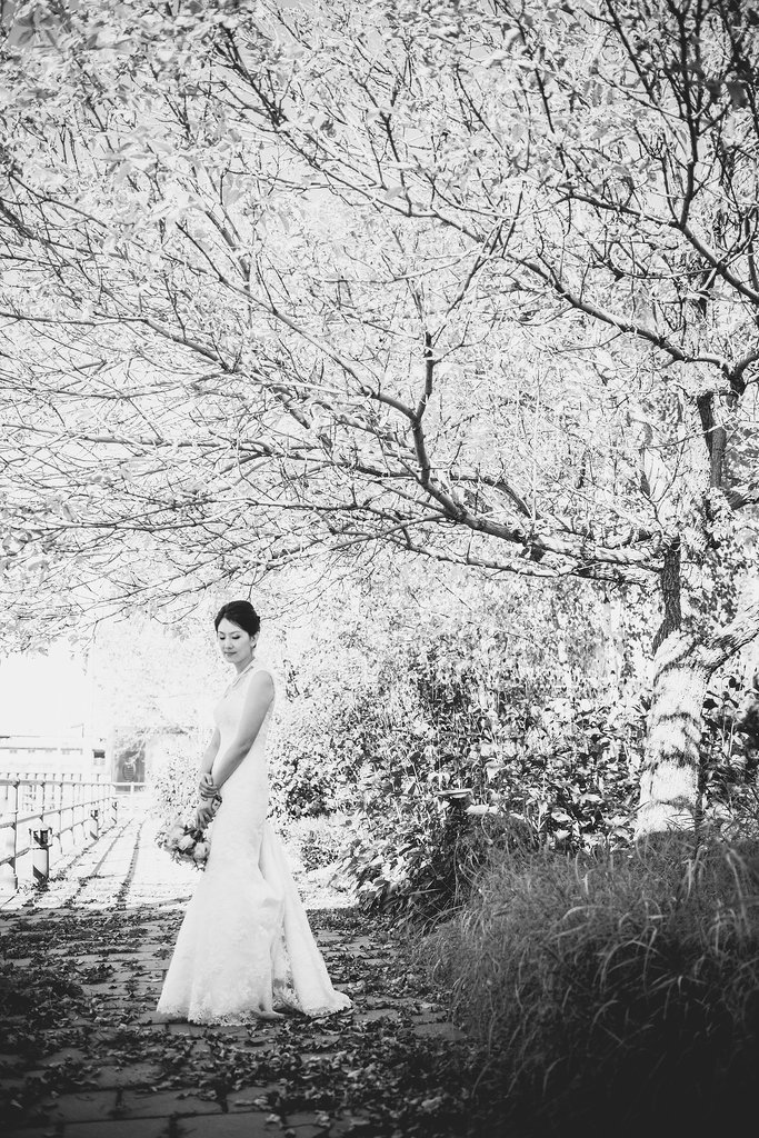 Photos by Bonnallie Brodeur Photographe
Photos by Bonnallie Brodeur Photographe