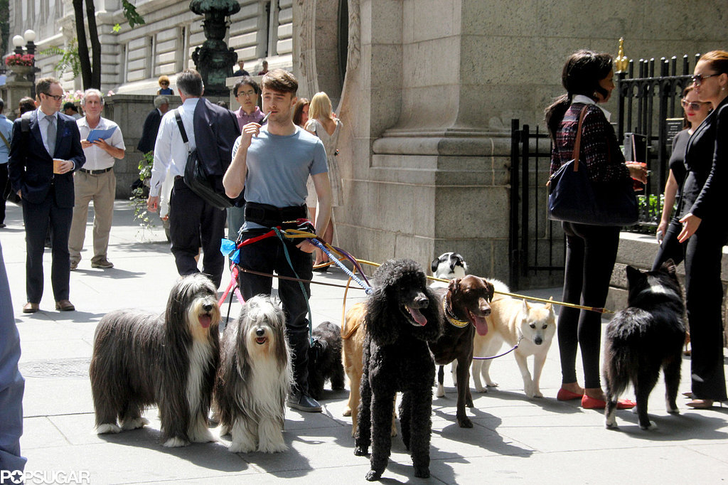 Daniel-Radcliffe-Dogs-Set-Trainwreck.jpg