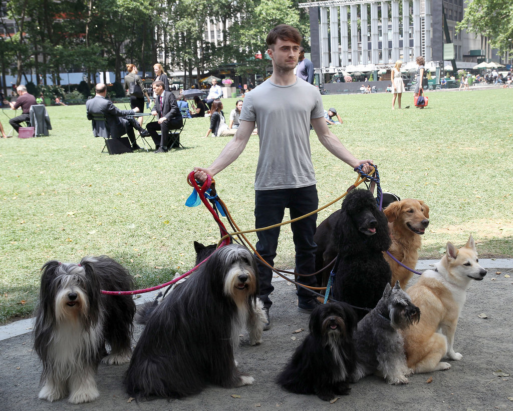 Daniel-Radcliffe-Dogs-Set-Trainwreck.jpg