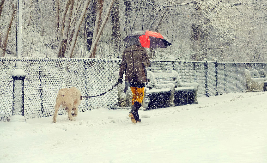 What Frozen Means to Others What Frozen Means to Others